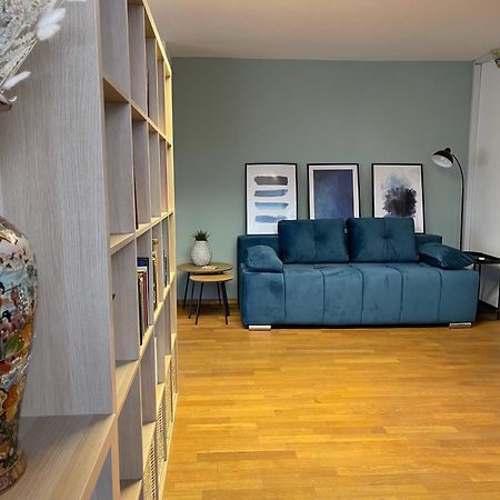 Spacious Cozy Apartment Ljubljana Buitenkant foto
