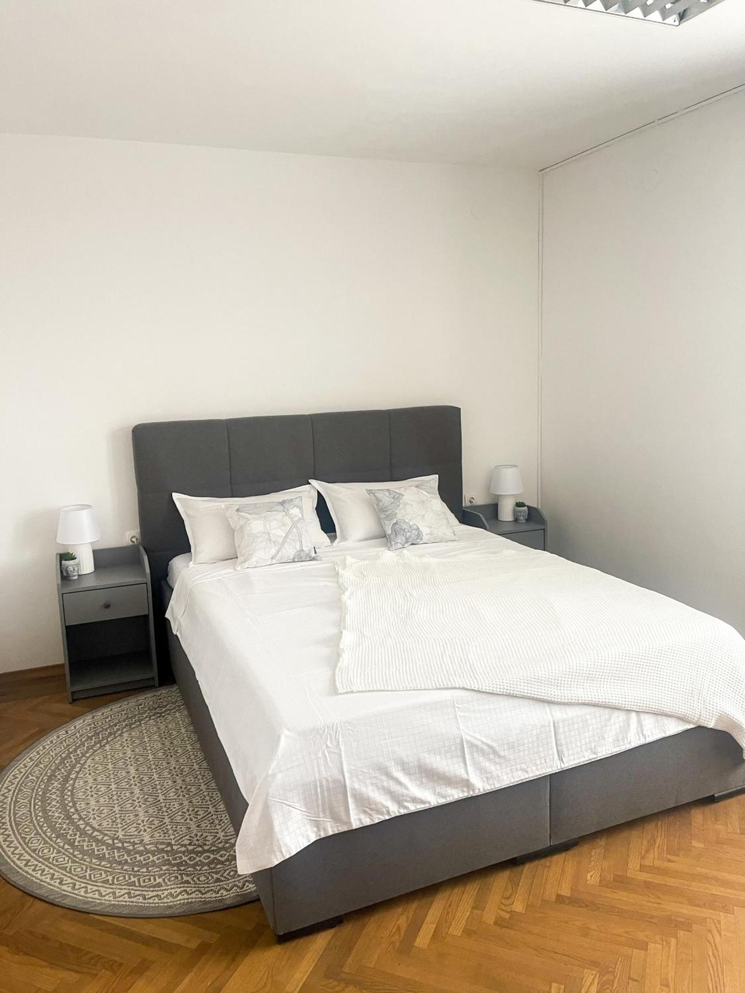Spacious Cozy Apartment Ljubljana Buitenkant foto